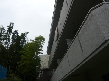 テラス富ヶ谷