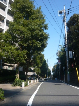 パークシティ杉並セントラルタワー