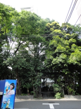 コート新橋