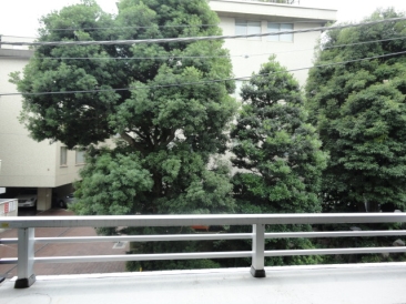 小田急コアロード六本木フロンテ