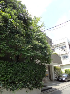 西参道Kハウス