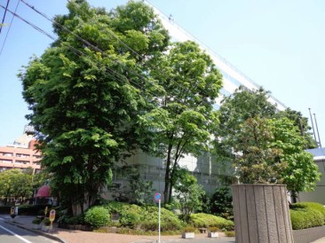 ウィスタリアハイツ一番町