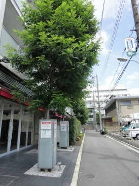 六本木デュープレックスエムズ （ROPPONGI DUPLEX M's）