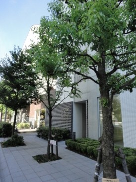 トゥールブランシュ麻布