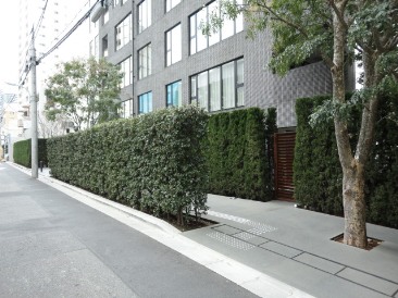 フォレセーヌ赤坂氷川町