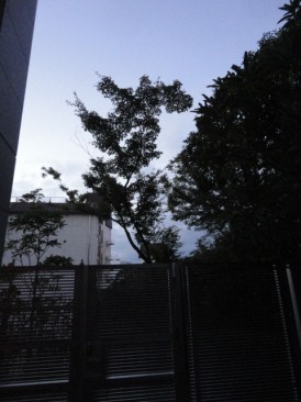 プラウド赤坂氷川町