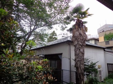 代々木プラセッドヒル