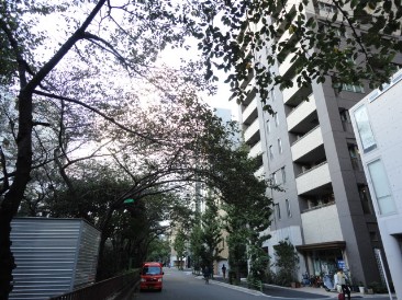 パークホームズ日本橋浜町二丁目リビオガーデン