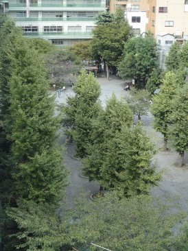 ウィルローズ日本橋レジデンス