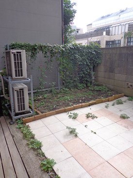 神宮前２丁目３１戸建