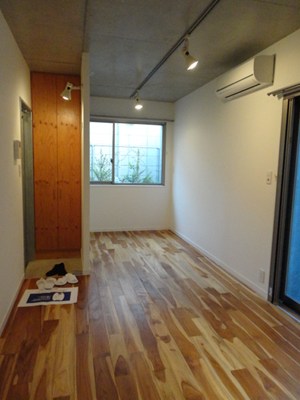 yotsuya tenera (ヨツヤテネラ)