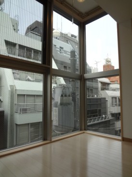 パディホームズ九段南