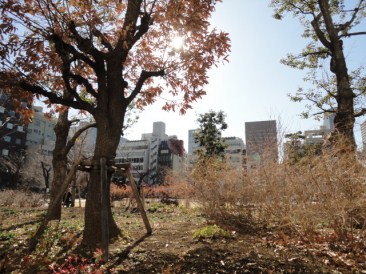 フィヤージュ南桜公園