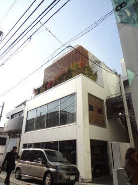 ＩＬ　ＰＡＬＡＺＺＩＮＯ表参道（イルパラッツィーノ　オモテサンドウ）