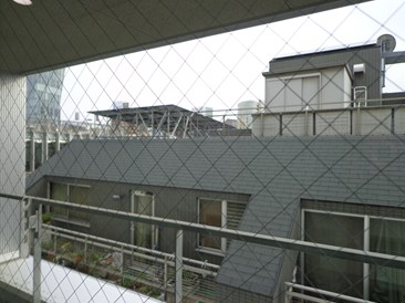 ＩＬ　ＰＡＬＡＺＺＩＮＯ表参道（イルパラッツィーノ　オモテサンドウ）