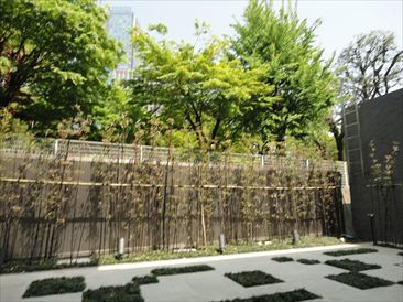 ブランズ六本木
