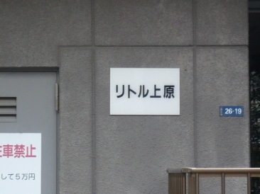 リトル上原