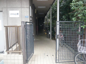 リトル上原