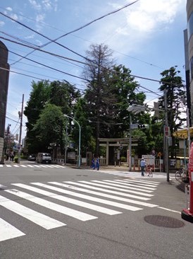 松村ビル　（事務所）