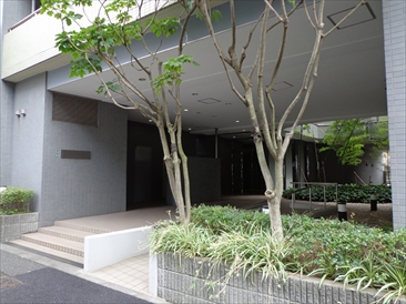 東急ドエルアルス本郷南