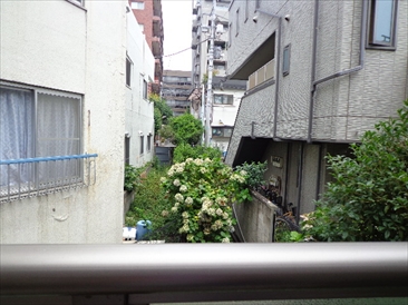 ハビリス白森