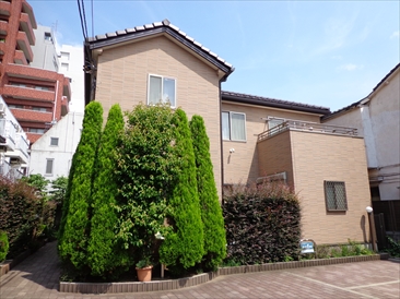 春日の杜