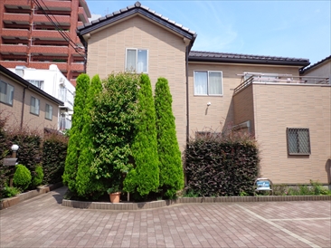 春日の杜