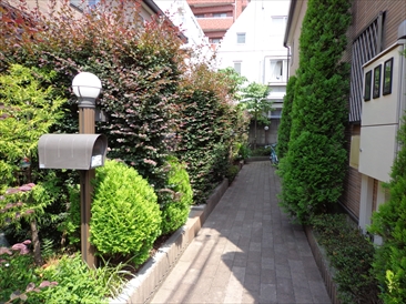 春日の杜