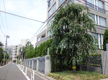 パークマンション白金台