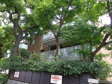 サザン高輪