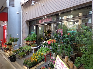 リヴモール小石川