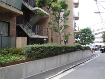 ガーデンテラス神宮前　(事務所)