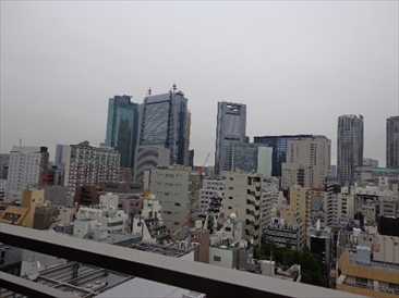 パークハビオ新橋