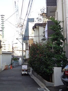 ステートⅡ(ステートツー)