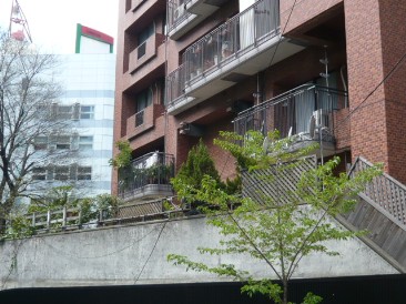 南青山高樹町ハイツ