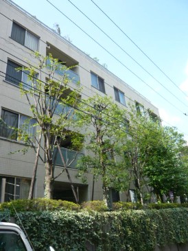 パークハウス神宮外苑