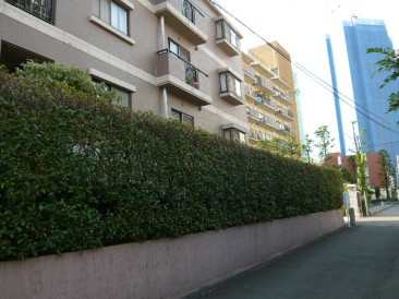 朝日新宿御苑マンション