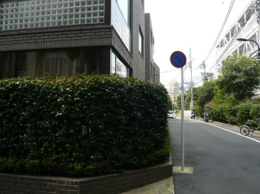 アネックスヤギ