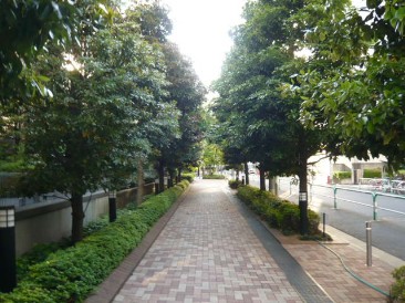 ライオンズタワー池袋