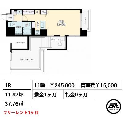 CATS原宿  (キャッツ原宿) 245,000円