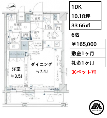 パレステュディオ代々木