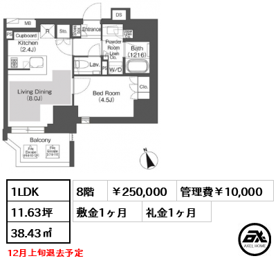 Belle Vue 千代田飯田橋 (ベルビュー千代田飯田橋) 250,000円