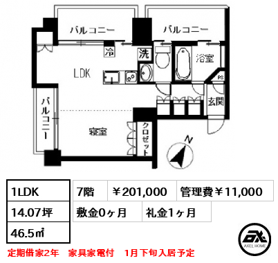 フロリス オーランティウム3