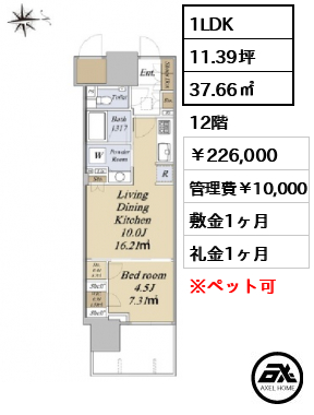 グランドシティタワー月島