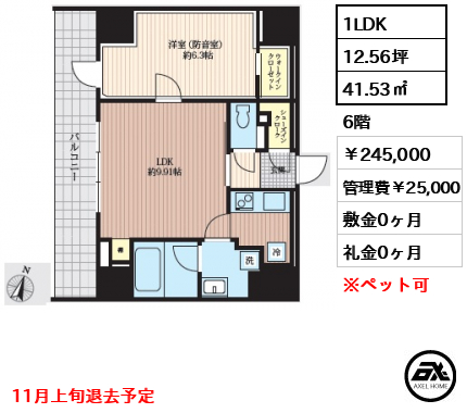 フィシオ飯田橋 245,000円