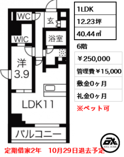 ルネサンスコート築地