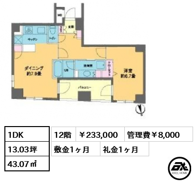 カスタリア新富町Ⅲ 233,000円