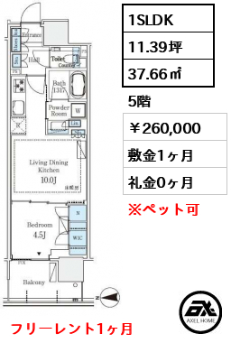 グランドシティタワー月島