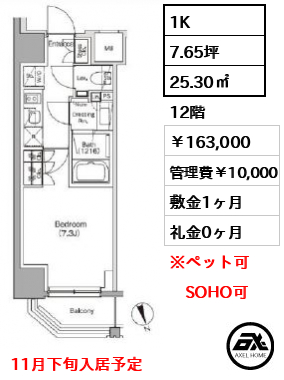 ザ・パークハビオ飯田橋プレイス 157,000円