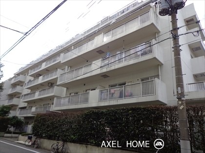 藤和湯島コープ